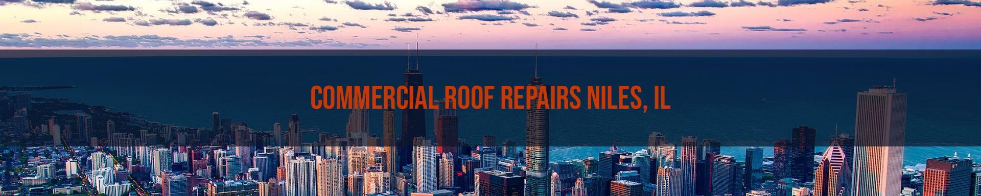 commercial roof repairs Niles, IL